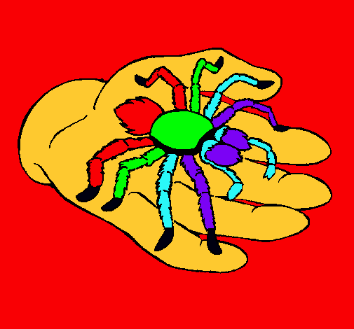 Tarántula