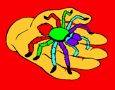 Dibujo Tarántula pintado por tarantula