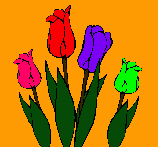 Tulipanes