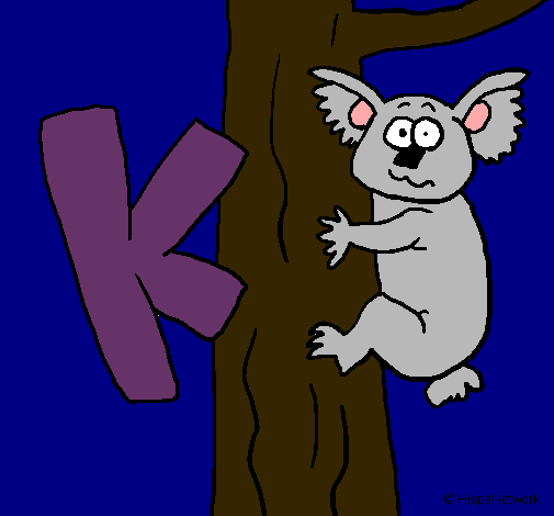 Koala