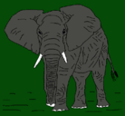 Dibujo Elefante pintado por will