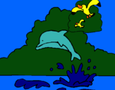 Dibujo Delfín y gaviota pintado por margie