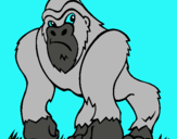 Dibujo Gorila pintado por kjtghjmjljgr