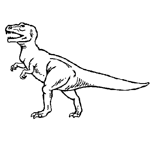 Tiranosaurus Rex