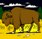 Dibujo Búfalo  pintado por jabali
