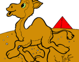 Dibujo Camello pintado por Nicmarc