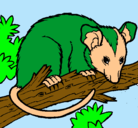 Dibujo Ardilla possum pintado por izannn