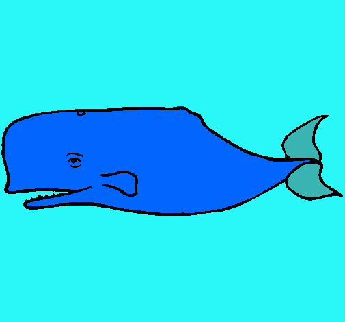 Ballena azul
