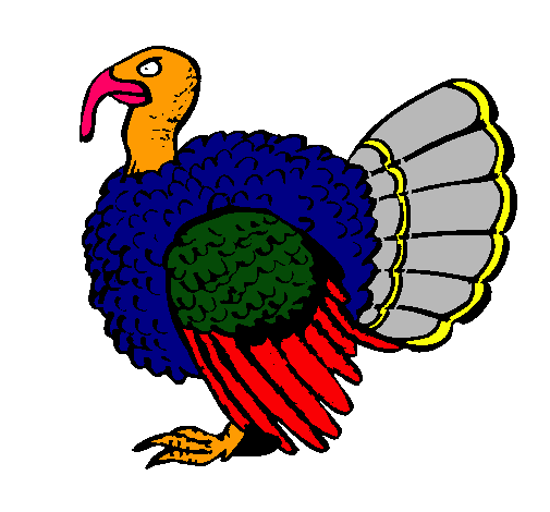 Pavo 