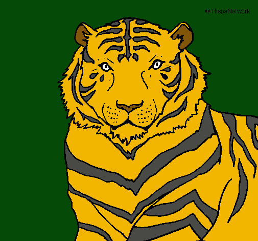 Dibujo Tigre pintado por jacobo1231