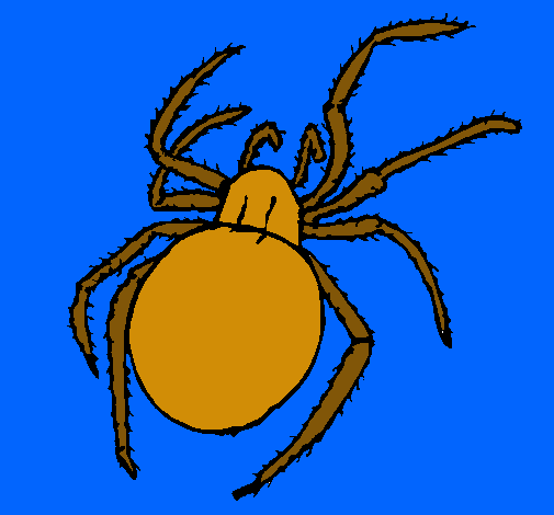 Araña venenosa