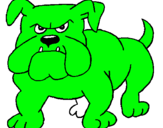 Dibujo Perro Bulldog pintado por pepilo