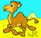 Dibujo Camello pintado por atreb