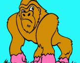 Dibujo Gorila pintado por olgaisla