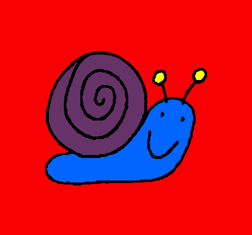 Caracol 4