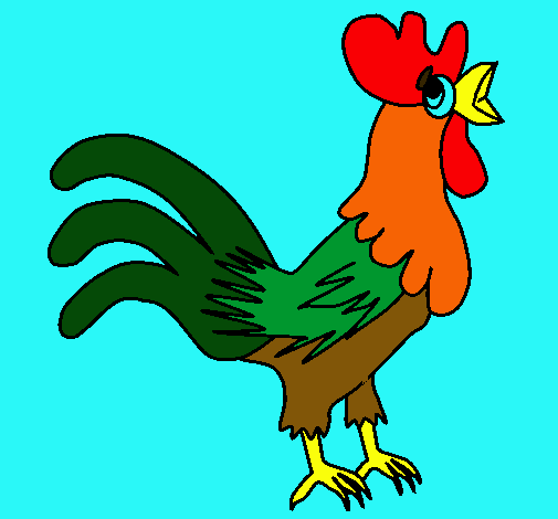 Gallo