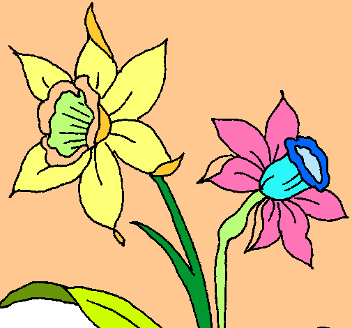 Dibujo de Orquídea pintado por Ceibo en  el día 01-11-11 a las  13:45:05. Imprime, pinta o colorea tus propios dibujos!