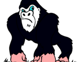 Dibujo Gorila pintado por danurrio19