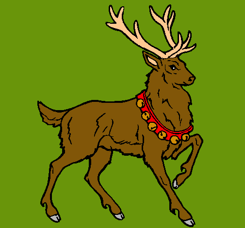 Venado