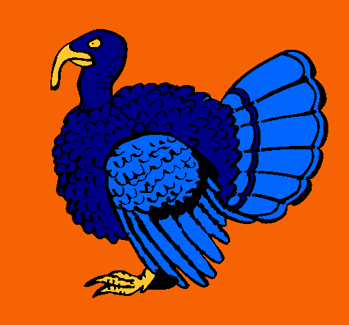 Pavo 