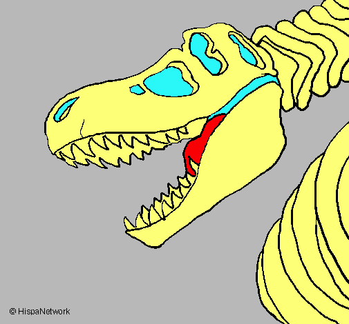 Esqueleto tiranosaurio rex