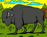 Dibujo Búfalo  pintado por amalia