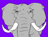 Dibujo Elefante africano pintado por YUTHIEL