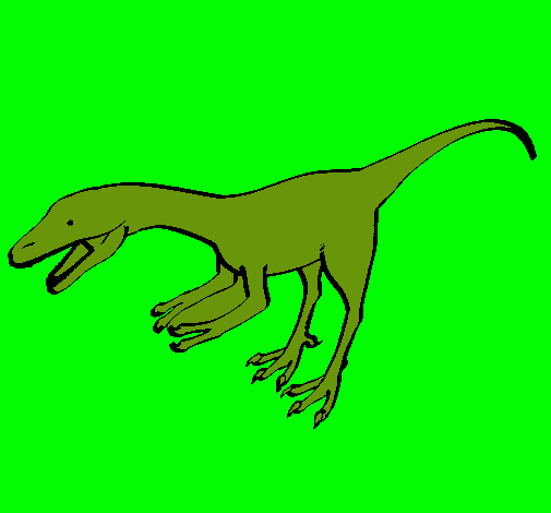 Velociraptor II