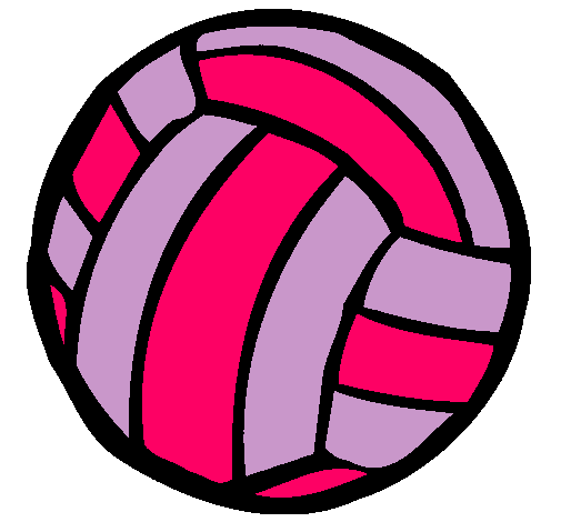 Pelota de voleibol