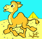 Dibujo Camello pintado por sebaxti12