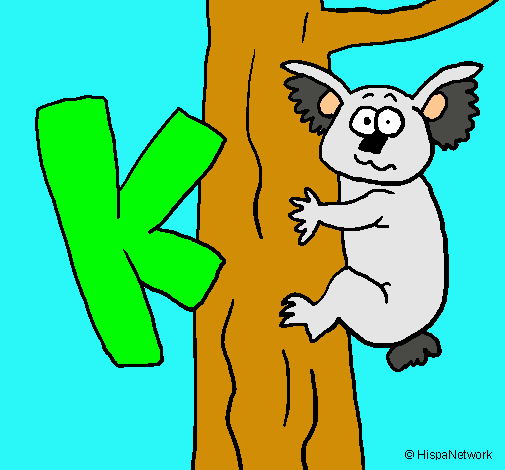 Koala