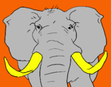 Dibujo Elefante africano pintado por elefantin