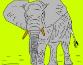 Dibujo Elefante pintado por botia