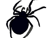 Dibujo Araña venenosa pintado por xixi