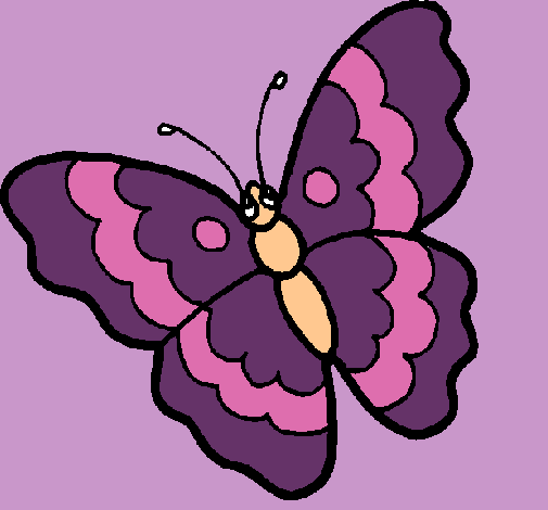 Mariposa