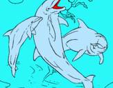 Dibujo Delfines jugando pintado por jarod