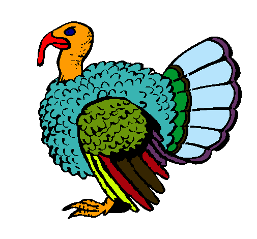 Pavo 