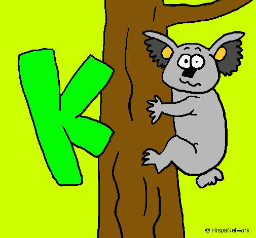 Koala