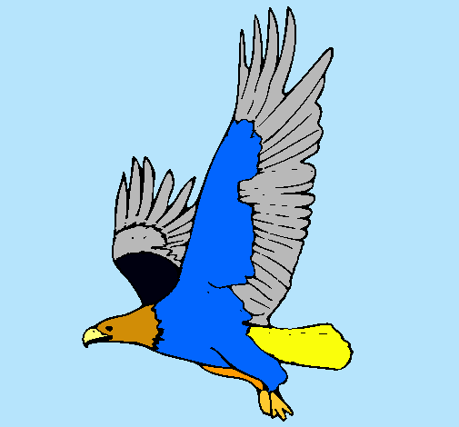 Águila volando