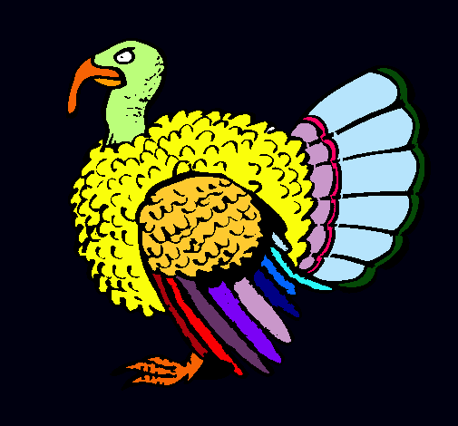 Pavo 