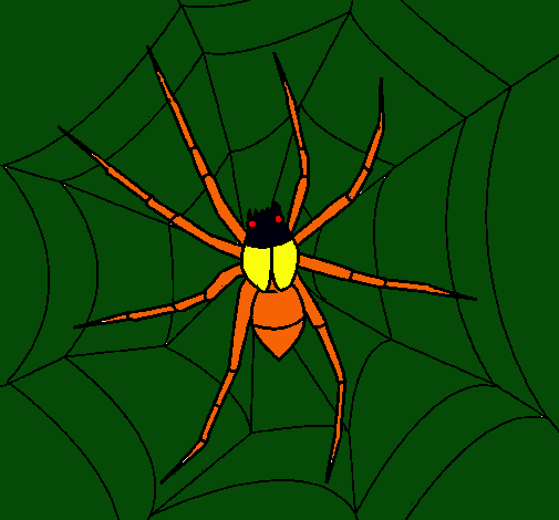 Araña