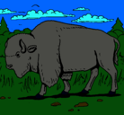 Dibujo Búfalo  pintado por izannn