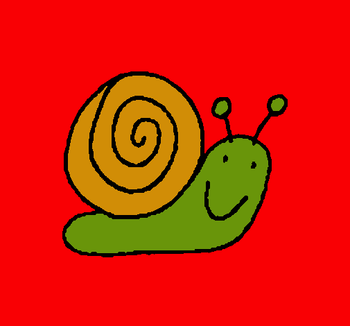 Caracol 4