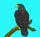 Dibujo Águila en una rama pintado por agula