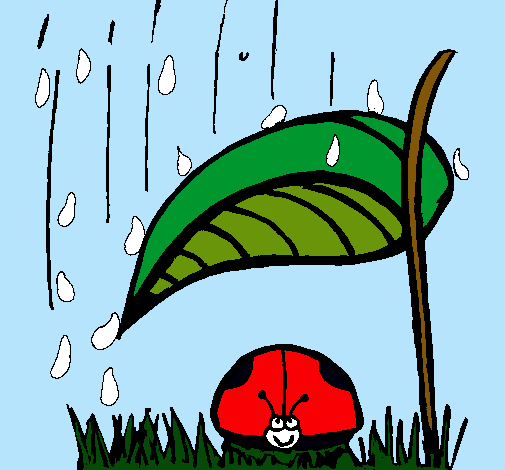 Mariquita protegida de la lluvia