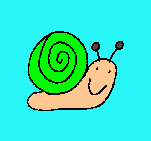 Caracol 4