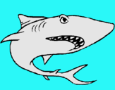 Dibujo Tiburón pintado por felipito