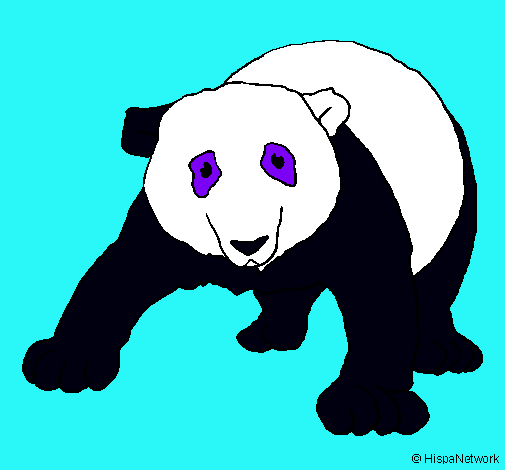 Oso panda