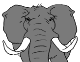 Dibujo Elefante africano pintado por witzin
