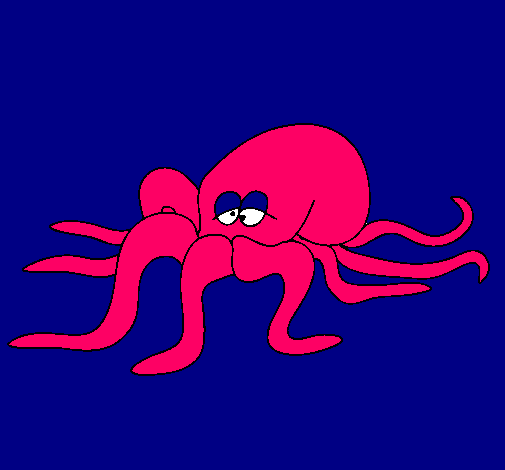 Pulpo